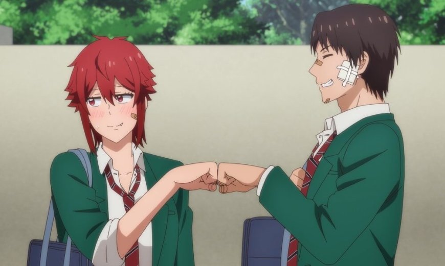 Tomo-Chan Is a Girl!