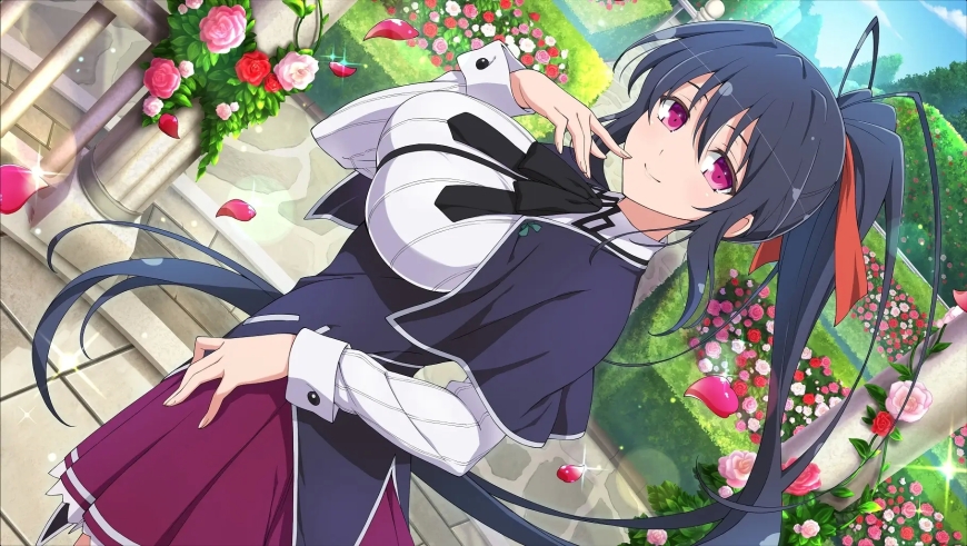 Akeno Himejima (High School Dxd)