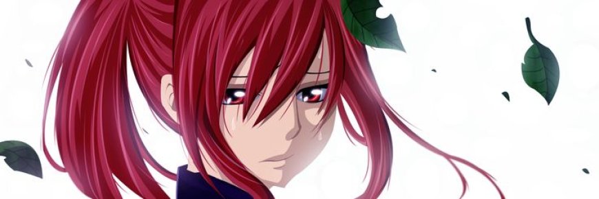 Erza Scarlet (Fairytale)