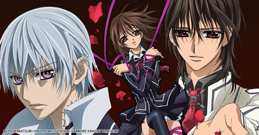 13. Vampire Knight