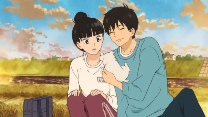 10. Kimi ni Todoke: From Me To You