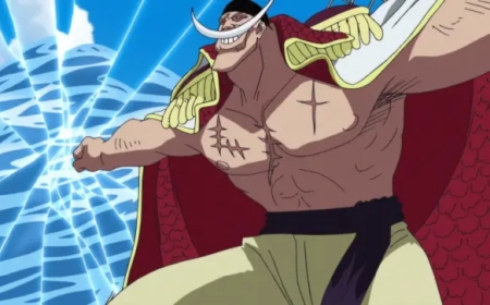 One Piece: En Güçlü 17 Paramecia Şeytan Meyvesi! En İyiler!
