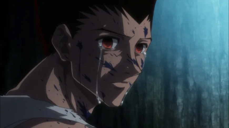 Hunter × Hunter – Anger × and × Light (9.9)