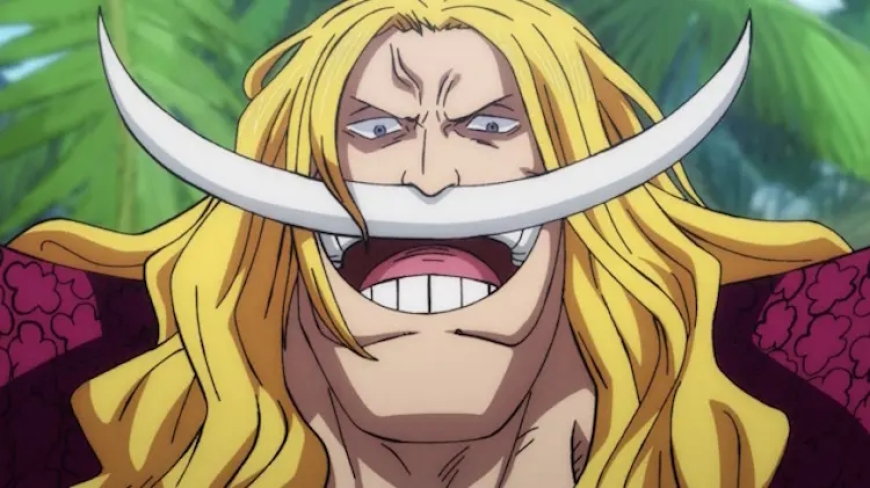 2. Edward Newgate (Whitebeard)