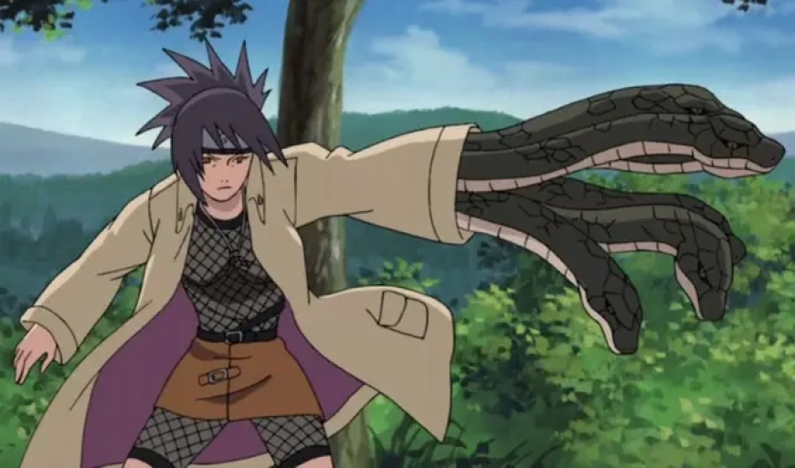 13. Anko Mitarashi