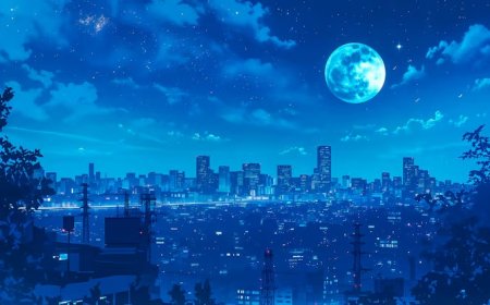 One Piece Evrenindeki En Yavaş 15 Tayfa Macerası! Tempo Keşifleri!: Yavaş Ama Destansı Seyahatler!